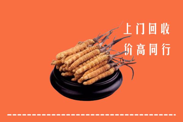 高价求购：丰城市回收散虫草