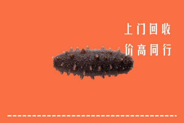 高价求购：丰城市回收海参