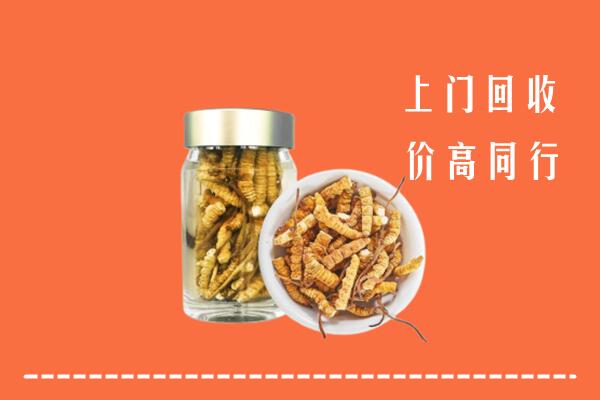 收购行情：丰城市回收冬虫夏草